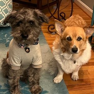 Unlisted bag show item